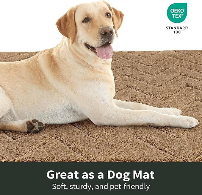 Stiio Dirt Trapper Door Mat 24x35.5 Inches, Front Doormat Indoor Outdoor Entrance Low Pile, All-Season, All-Weather Absorbent Entry Rug, Washable Non Slip Rug for Entryway, Brown-Ruum Studio Home