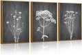 Tinonedraw Black and White Botanical Framed Canvas Wall Art Set, Vintage Floral Wall Decor, Dark Academia Minimalist Plant Art Paintings, Abstract Wildflower Art Print for Living Room Bedroom 16"x24"x3-Ruum Studio Home