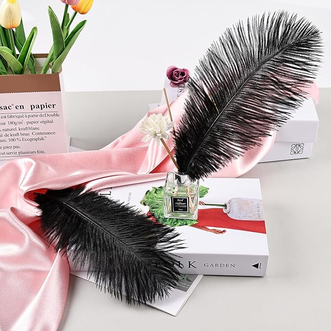 THARAHT Black Ostrich Feathers 12pcs Natural Bulk 8-10Inch 20cm-25cm for Crafts Wedding Party Centerpieces Halloween and Home Decoration Feathers-Ruum Studio Home