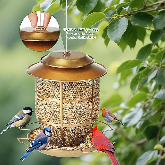 Bird Feeder for Outdoors, Funnel Style Wild Finch Feeders for Outside Hanging Courtyard Bird Watching, Metal Birdfeeder with Lid Fixing Buckle, 3Lbs Capacity-Ruum Studio Home