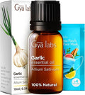 Gya Labs Garlic Essential Oil for Diffuser - 0.34 Fl Oz - 100% Pure Natural Garlic Oil for Skin, Hair, Candle Making Scent-Ruum Studio Home