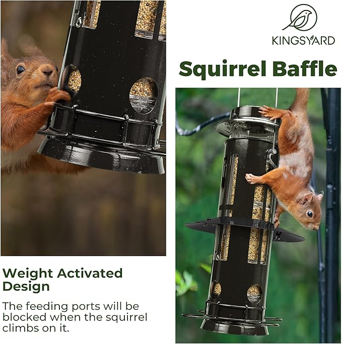 Kingsyard Squirrel Proof Bird Feeder with Removable Base, All Metal, Tube Bird Feeders for Outdoors Hanging, Easy to Clean & Refill, Black-Ruum Studio Home