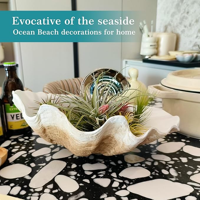 Extra Large Clam Shells Decorative Bowl Earth Tan Sea Shells Decorative Storage Bowls for Coastal Beach theme house table centerpiece decorations & Nautical decorations for coffee table -12.4"-1PC-Ruum Studio Home