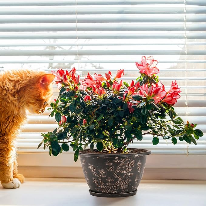 12-inch-Flower-Pots-Outdoor-Indoor, 4 Pack Plastic Planter Pots for Plant with Drainage Hole Saucer, Decorative Resin Garden Container with Tray-Ruum Studio Home