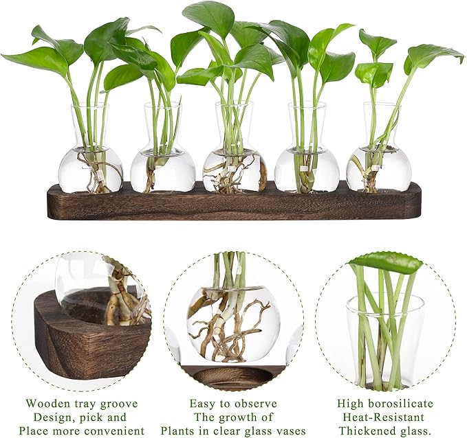 YIBOT Plant Propagation Stations,Glass Propagation Vases for Plants Terrarium with Wooden Tray Plant Lover Gifts for Propagating Hydroponic Plants Home Office Decor(5 Vase)-Ruum Studio Home