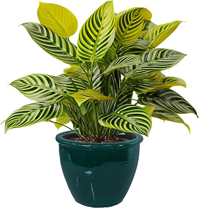 Sunnydaze Chalet Large Ceramic Plant Pot - Round Outdoor Glazed Ceramic Planter Pot with Drainage - Dark Green - 14.5"-Ruum Studio Home