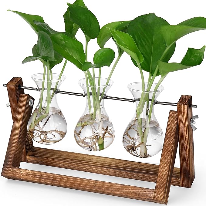 YIBOT Propagation Stations,Plant Terrarium with Retro Wooden Stand, Unique Gardening Birthday Gifts for Women Plant Lovers, Hydroponics Plants Home Office Garden Decor - 3 Bulb Glass Vases-Ruum Studio Home