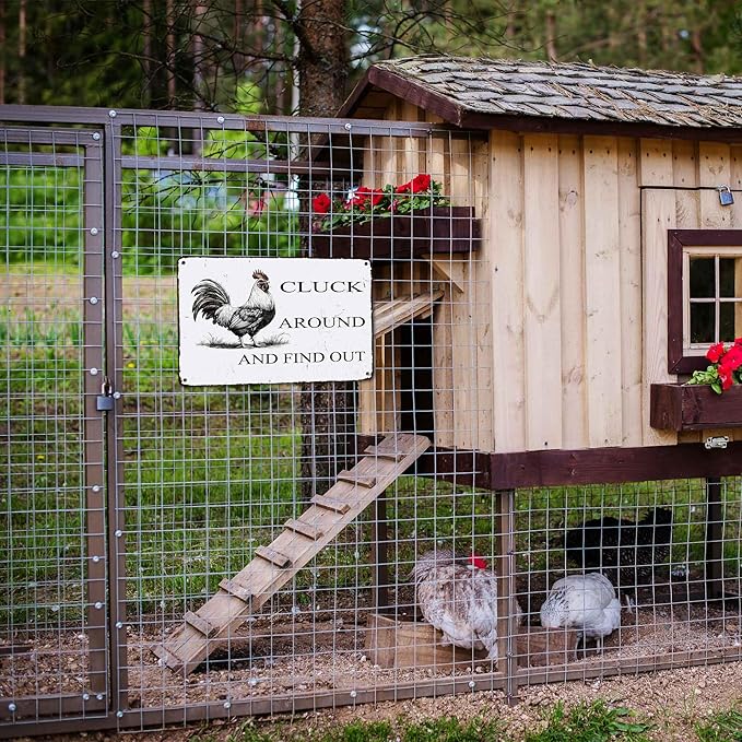 Funny Chicken Coop Sign "Cluck Around & Find Out" Vintage Metal Tin Sign 8x12 Inch - for Farmhouse Kitchen Decor,Chicken Coop Accessories,Barn,Rustic Home & Garden Wall Art with Hanging Holes-Ruum Studio Home