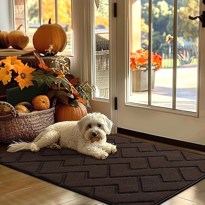 hicorfe Indoor Door Mat,Non Slip Door Mats,32"x48" Front Back Door Mat Rubber Backing,Absorbent Resist Dirt Entrance Inside Floor Mats for Entryway Washable Low-Profile(Coffee)-Ruum Studio Home
