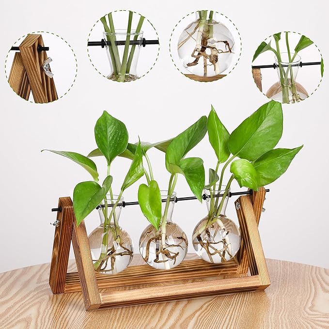 YIBOT Plants Propagation Stations,Desk Plant Terrarium with Retro Wooden Stand,Plant Lover Gifts for Women for Hydroponics Plants Home Garden Wedding Decor(3 Bulb Vase)-Ruum Studio Home