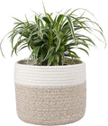 Woven Cotton Rope Plant Basket for 8" Flower Pot Small Basket for Plants Storage Organizer H7.5 x W8.5-Ruum Studio Home