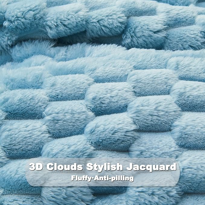 NEWCOSPLAY Super Soft Twin Blanket Blue Premium Silky Flannel Fleece 3D Clouds Stylish Jacquard Lightweight Bed Blanket All Season Use 350GSM (Blue, Twin(60"x80"))-Ruum Studio Home