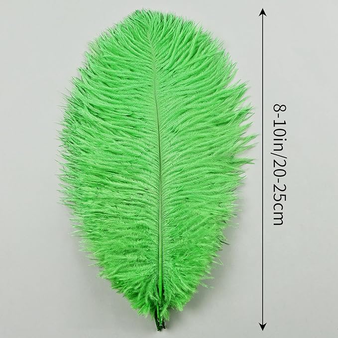 THARAHT Green Ostrich Feathers 12pcs Natural Bulk 8-10Inch 20cm-25cm for Crafts Wedding Party Centerpieces Mardi Gras and Home Decoration Feathers-Ruum Studio Home