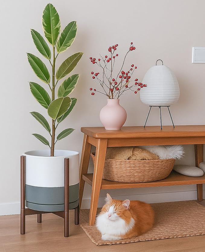 D'vine Dev Ceramic Planter with Walnut Color Stand - 12 Inch Modern Round Flower Pot with Wood Planter Holder, White/Grey, 55-B-W-6-Ruum Studio Home
