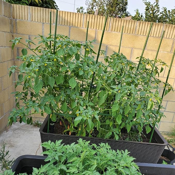 Garmeinea Garden Stakes 36 Inches Plastic Coated Steel Plant Stakes for Growing Climbing Plants, Pack of 25-Ruum Studio Home