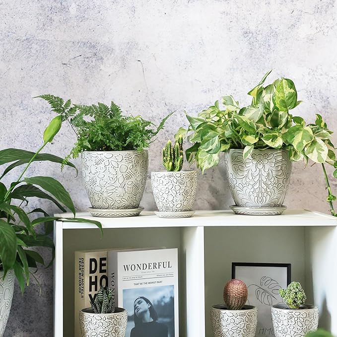 6 Inch Ceramic Planter Pots with Drainage Hole and Saucers for Indoor Plants, Garden Pots for Succulent, Orchid, and Flower - Set of 2-Ruum Studio Home