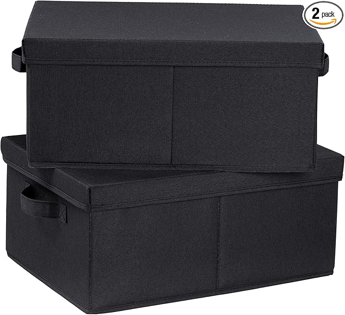 HOONEX Storage Bins with Lids for Organizing, Pack of 2, Storage Boxes with 2 Carrying Handles and Sturdy Heavy Cardboard, 16.5" L x 11.8" W x 7.5" H for Shoes, Books, Clothes, Black-Ruum Studio Home