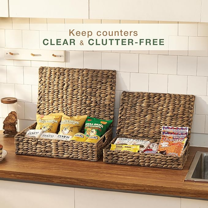 Set of 2 Decorative Storage Boxes With Lids for Home Decor, Shelves-Ruum Studio Home