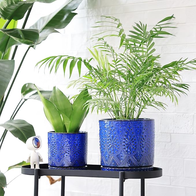 8 Inch + 6 Inch Indoor Plant Pot with Drainage Holes and Saucers, Ceramic Planter for Plants Succulent Orchid Flower Pots-Ruum Studio Home