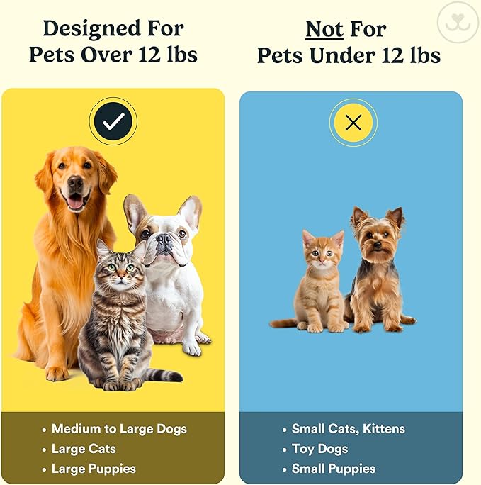 Jasper Dog Toothbrush, 360 Dog Tooth Brushing Kit, Finger Toothbrush, Cat Tooth Brush, Teeth Cleaning, Pet Tooth Brush for Small & Large Pets, Pet Toothpaste Not Included, 4-Pack Clear-Ruum Studio Home