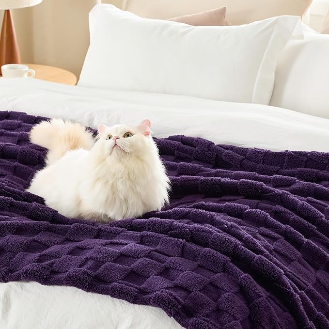 Bedsure GentleSoft Twin Blanket for Bed Purple - Super Soft Cozy Blankets for Women Men Girls, Cute Fuzzy Fleece Throws for Bedroom Couch, 60x80 Inches-Ruum Studio Home
