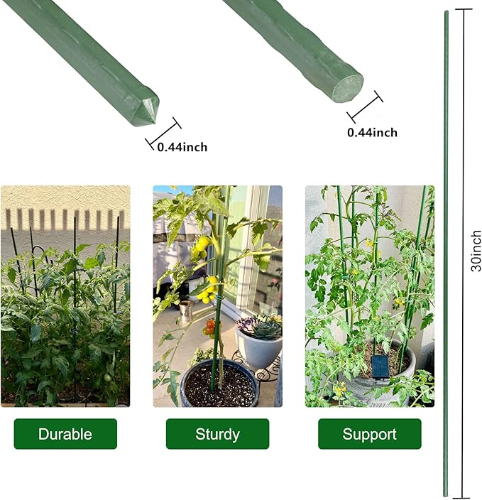 Garmeinea Garden Stakes 30 Inches Plastic Coated Steel Plant Stakes for Growing Climbing Plants, Pack of 25-Ruum Studio Home