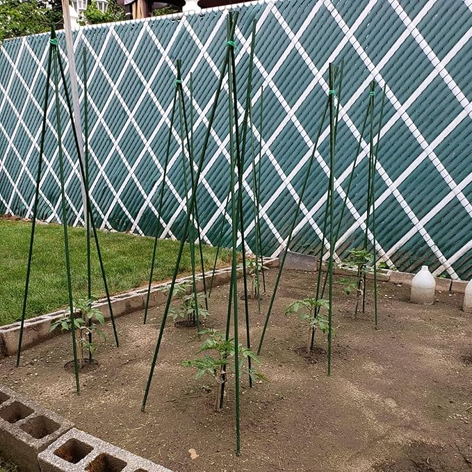 Garden Plant Stakes 57 Inch (Approx 5Ft) Steel Plant Stick Support, 25 Pack Tomato Stakes for Growing Climbing Plants, Potted Plants, Tomatoes, Trees, Cucumber, Beans, Fences Poles-Ruum Studio Home