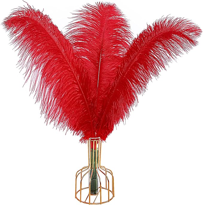 THARAHT Red Ostrich Feathers 12pcs Large Natural Bulk 12-14Inch 30cm-35cm for Wedding Party Centerpieces Halloween and Home Decoration Feathers-Ruum Studio Home