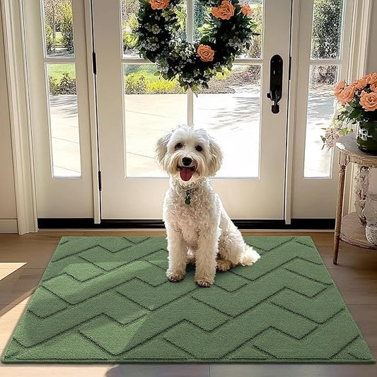 hicorfe Front Door Mat Outside Entrance,32"x40" Absorbent Muddy Dirt Resist Welcome Door Mats Outdoor Indoor,Stain and Fade Resistant,Non Slip Backing Entry Mat Doormat for Entryway(Green)-Ruum Studio Home