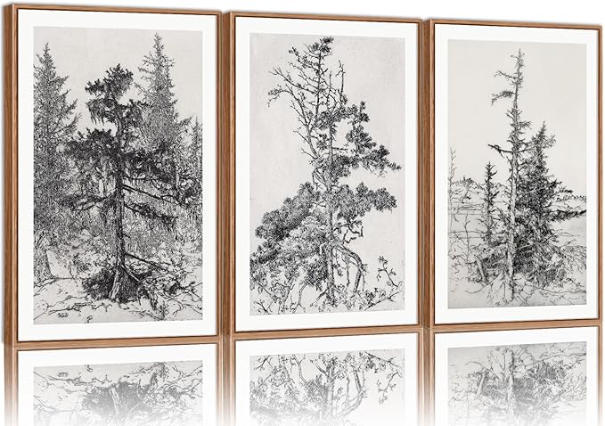 SIGNINART Vintage Tree Framed Wall Art Set , Black and White Antique Sketchbook Forest Painting, Wilderness Illustration Art Print , Retro Pine Tree Landscape Drawing Wall Decor for Living Room, Bedroom, Office (16"x24"x3)-Ruum Studio Home