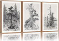 SIGNINART Vintage Tree Framed Wall Art Set , Black and White Antique Sketchbook Forest Painting, Wilderness Illustration Art Print , Retro Pine Tree Landscape Drawing Wall Decor for Living Room, Bedroom, Office (16"x24"x3)-Ruum Studio Home
