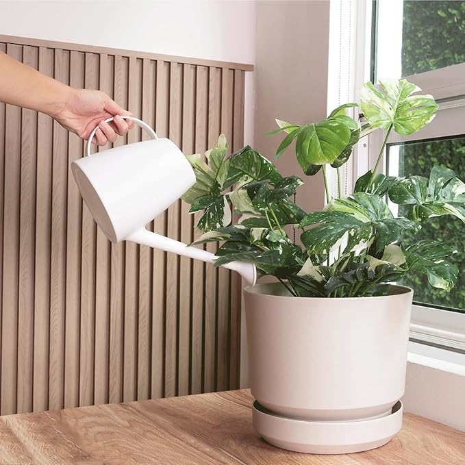 Elly Décor 8 inch Plastic Cylinder Planter Pot with Self-Watering Saucer and Drainage Hole,Lightweight & Extremely Durable, 8"x 8", Ivory-Ruum Studio Home