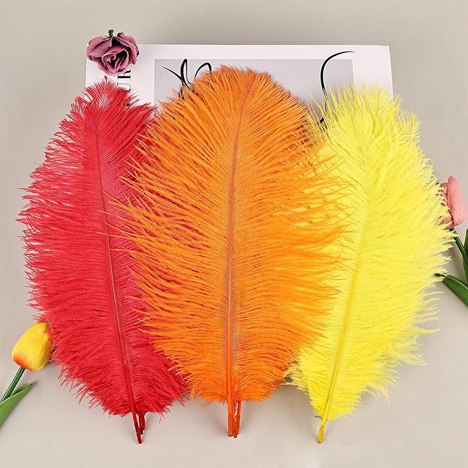 THARAHT Red Orange Yellow Ostrich Feathers 12pcs Natural Bulk 8-10Inch 20cm-25cm for Crafts Wedding Party Centerpieces Halloween and Home Decoration Feathers-Ruum Studio Home