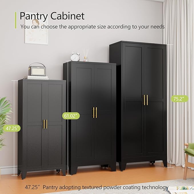 Metal Storage Cabinet With 2 Doors and 3 Adjustable Shelves, Black Kitchen Pantry for Food, Utility Cabinet for Laundry Room, Cupboard-Ruum Studio Home