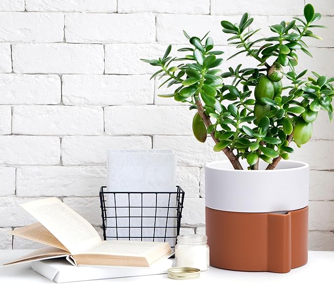 6.5 Inch Self-Watering Planter Pot with Terracotta Insert, Deep Water Reservoir, and Ceramic-Alike BPA-Free Plastic Pot for Plant, Modern Planter for Houseplants, Terracotta/White, 53-B-S-6-Ruum Studio Home