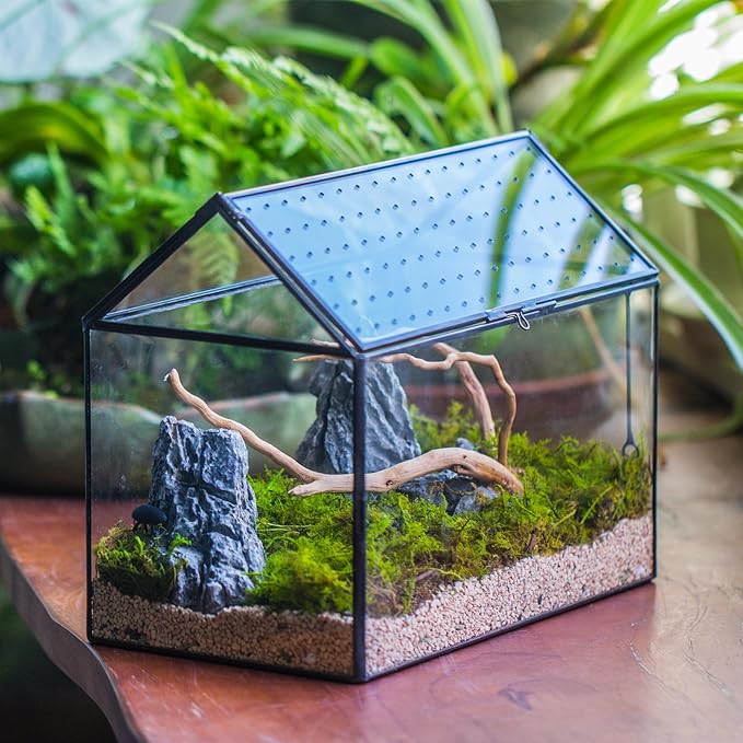 NCYP House Shape Glass Terrarium with Acrylic Lid - 10.2x5.9x8.2 Inches Large Geometric Box for Snails, Ferns, Succulents, Air Plants, Indoor Tabletop Decor, Handmade (Terrarium Only)-Ruum Studio Home