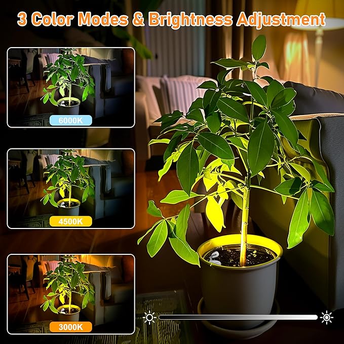 4 Pack Wireless Spot Lights Indoor, Battery Operated Uplighting, Mini Spotlight with Remote 3CCT Tree Lights Indoor, Accent Wall Lights for Display Plant Picture Dartboard-Ruum Studio Home