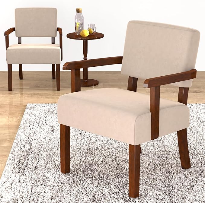 Accent Chair, Cat-Scratch Velvet Living Room Chairs Oversize with Soft Seat and Armrests for Dinning Room Bedroom Reading Room Waiting Room-Ruum Studio Home