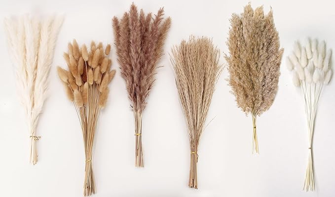 Dried Pampas Grass Decor, 120 PCS Pampas Grass with Bunny Tails Dried Flowers, Reed Grass Bouquet for Wedding, Boho Flowers, Home Table Decor, Rustic Farmhouse Party (White and Brown)-Ruum Studio Home