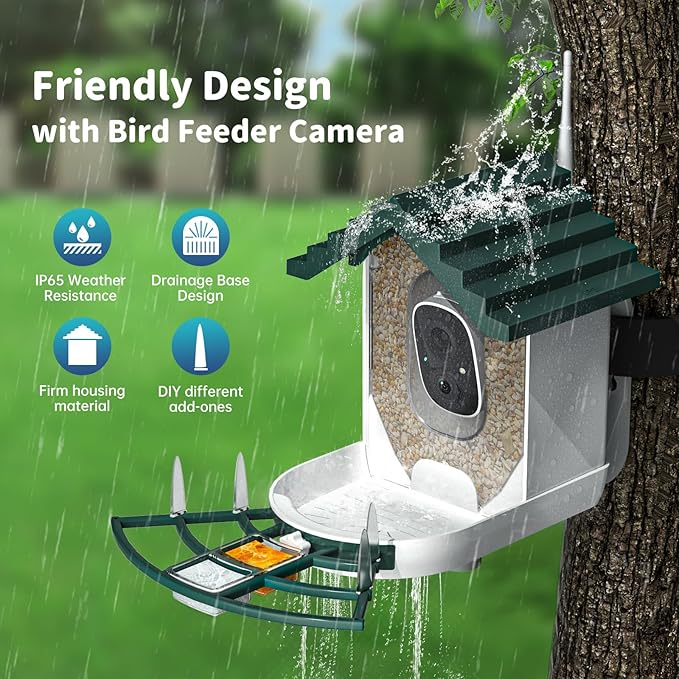 Smart Bird Feeder with Camera Solar Powered & AI Bi rd Identification, 2.4Ghz WiFi Bird feeders for Outdoors, 2K Live Video, Nstant Arrival Alerts - Best Gifts for Bi rd Lovers - Green-Ruum Studio Home