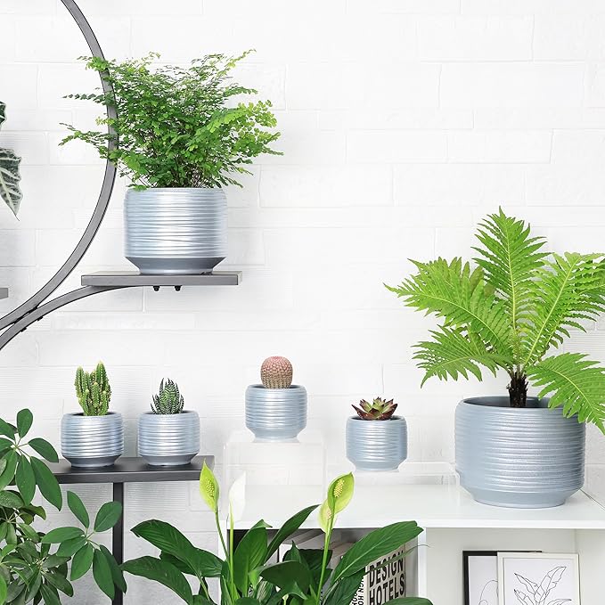 Mini Succulent Planter Set – 3.7 Inch Ceramic Pots with Drainage for Indoor Plants, Small Decorative Flower Pots for Cactus and House Plants, Set of 4-Ruum Studio Home