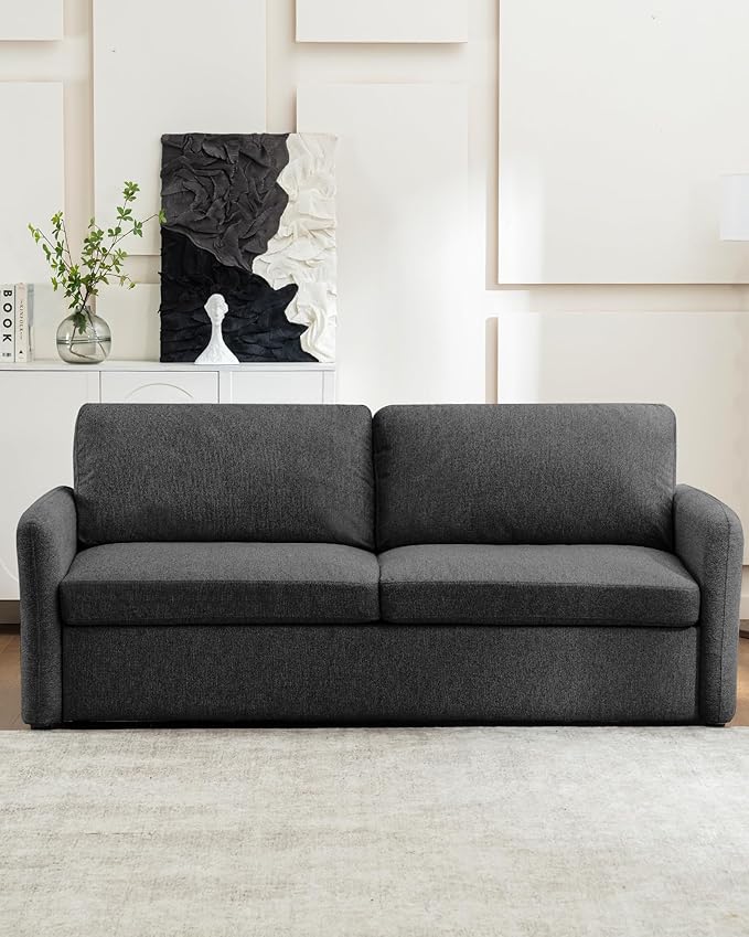 Queen Size Pull Out Sofa Bed, Convertible Sleeper Sofa Couch with Pullout Bed, 2 in 1 Sofa Bed Couch with Memory Foam Mattress for Living Room Office, Space-Saving, Dark Grey-Ruum Studio Home