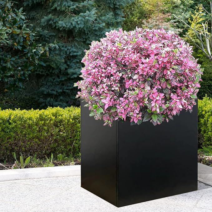 Galvanized Steel Planter Box Black Metal Planter Large Square Indoor Outdoor Planters Cube Steel Heavy Duty Flower Pot 20Inch Powder Coating Modern Commercial Residential for Patio, Deck, Yard, Garden-Ruum Studio Home