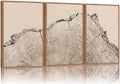SIGNINART Large Tree Ring Framed Canvas Wall Art Set, Rustic Beige Nature Wooden Wall Decor, Neutral Wood Stump Artwork, Modern Art Prints for Bedroom Living Room Office 16"x24"x3-Ruum Studio Home