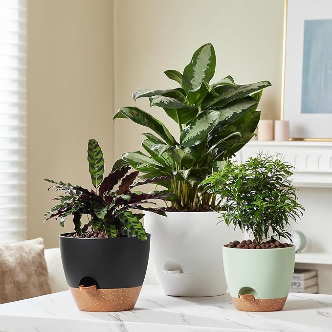 FaithLand 3-Pack Planter Pots, 10 9 8 Inch Self Watering Flower Pots for Indoor Outdoor Garden Plants, Black-Ruum Studio Home