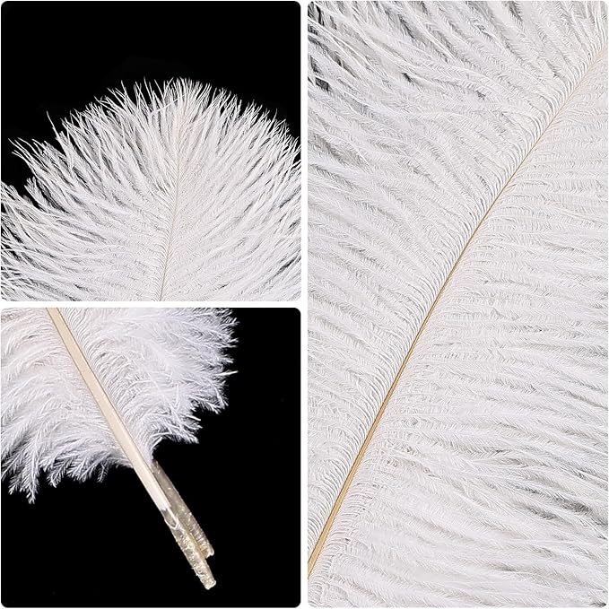 THARAHT White Ostrich Feathers 12pcs Natural Bulk 8-10Inch 20cm-25cm for Crafts Wedding Party Centerpieces Christmas Tree Decoration Feathers-Ruum Studio Home