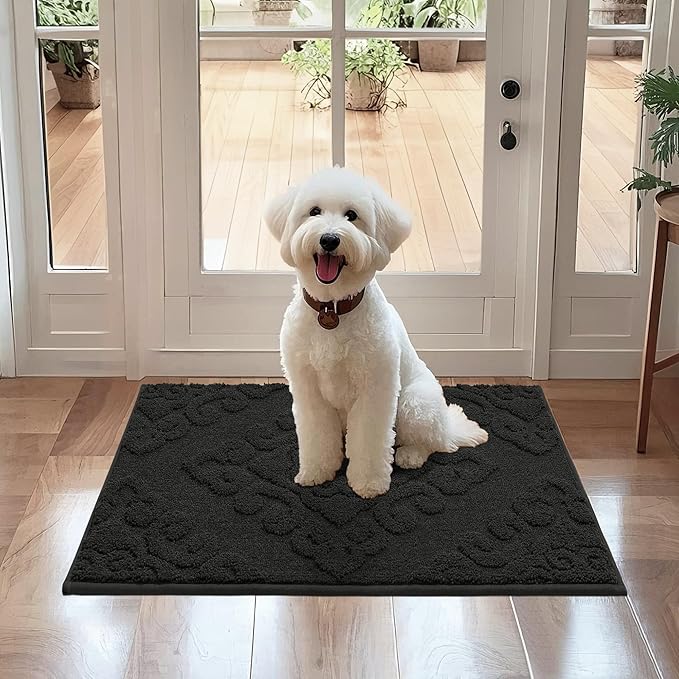 COSY HOMEER-Door-Mat-Non-Slip-Entryway-Rug 20”x32” Absorbent Welcome Mats Washable Dirt Trapper Door Mat Entrance Floor Mats for Front Back Doormats and Wet Shoes,Black-Ruum Studio Home