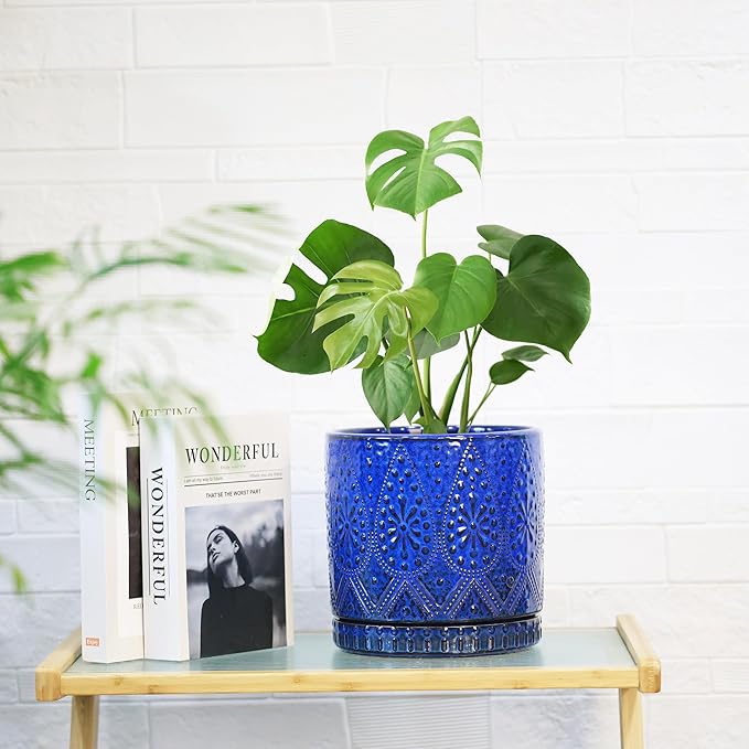 8 Inch + 6 Inch Indoor Plant Pot with Drainage Holes and Saucers, Ceramic Planter for Plants Succulent Orchid Flower Pots-Ruum Studio Home