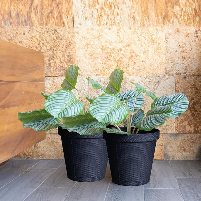 Elly Décor Set of 2 12 inch Round Saucer Modern Self Watering Planter Plates, Pots with Rattan-Like Finish, 12x12 Gray-Ruum Studio Home