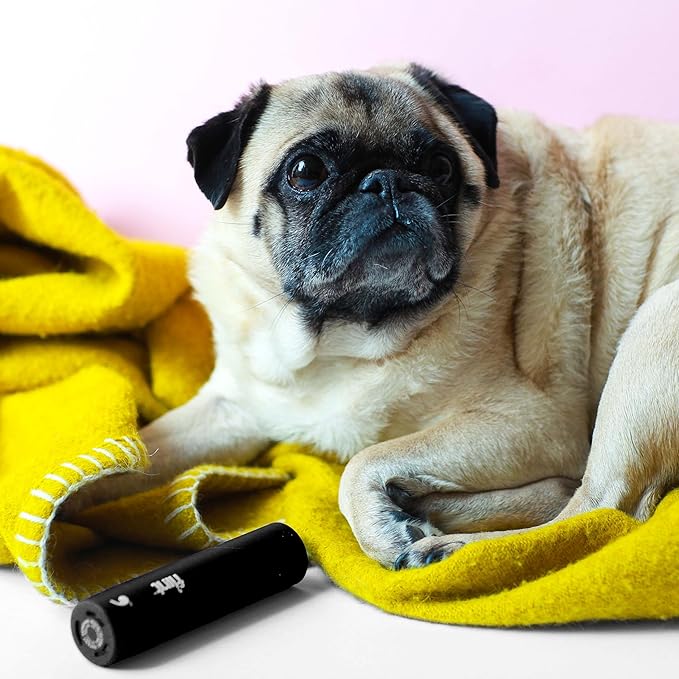 Flint Classic Black Retractable Mini Lint Roller with 90 Extra Sticky Sheets, Small and Portable Lint Roller, Ideal Pet Hair Remover, Travel Lint Rollers for pet Hair Extra Sticky-Ruum Studio Home